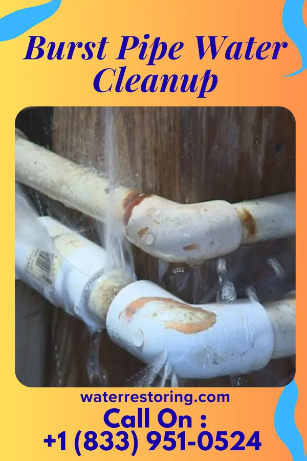 Burst Pipe Water Cleanup in Boothwyn, PA