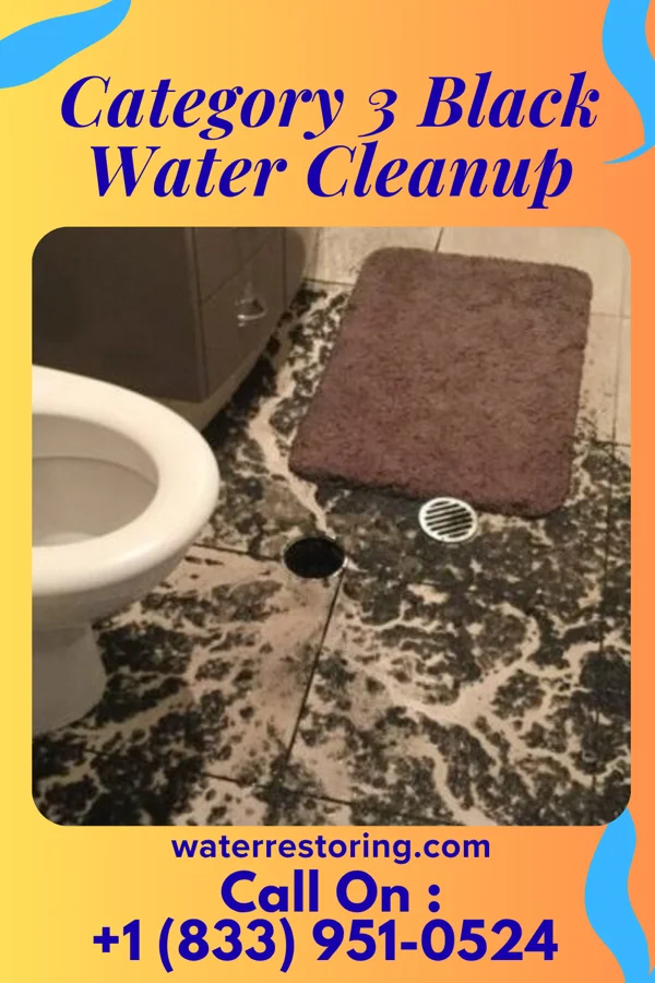 Category 3 Black Water Cleanup in Boothwyn, PA