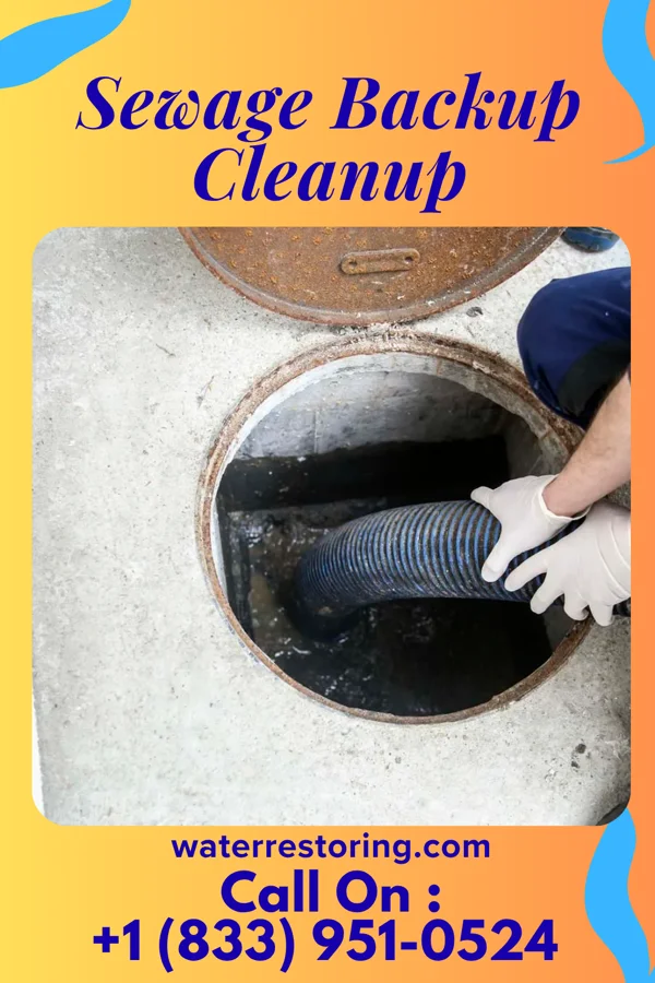 Sewage Backup Cleanup in Boothwyn, PA