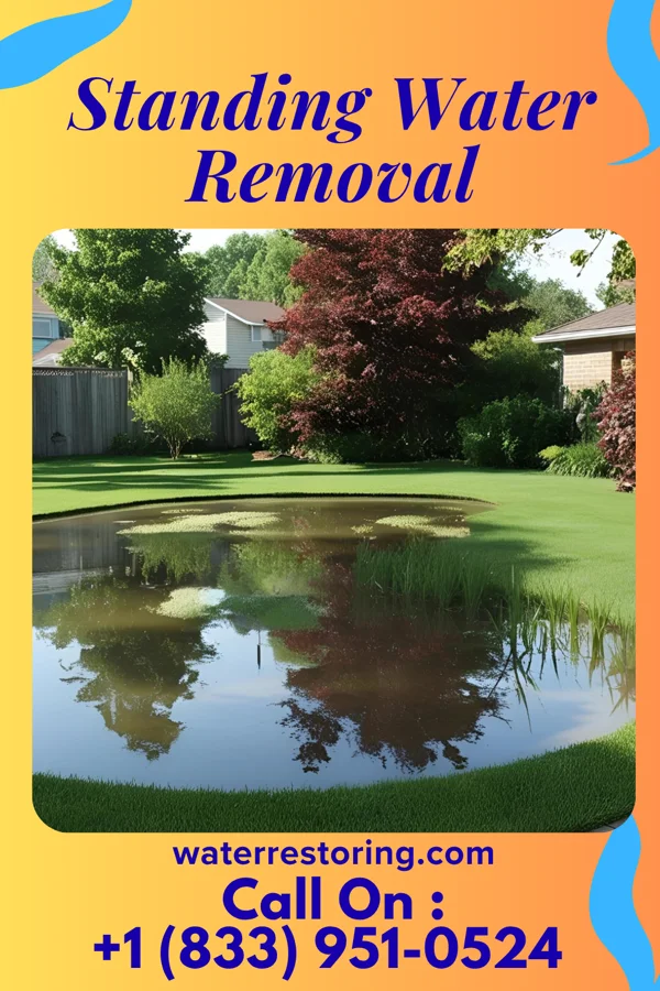 Standing Water Removal in Boothwyn, PA
